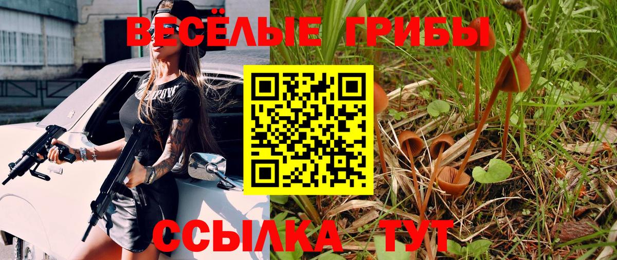 Псилоцибиновые грибы мицелий Саянск