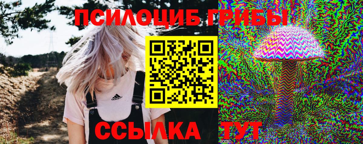 Саянск  Галлюциногенные грибы мухоморы  Вход с VPN 