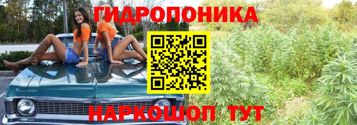 Бошки Шишки марихуана  МАРИХУАНА планчик  Саянск  МАРИХУАНА Ganja  Вход с VPN  Конопля план 